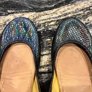 Tieks size 10 custom painted with Solar Color Dust heat activated solution